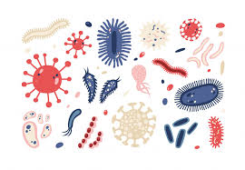 Microbe
