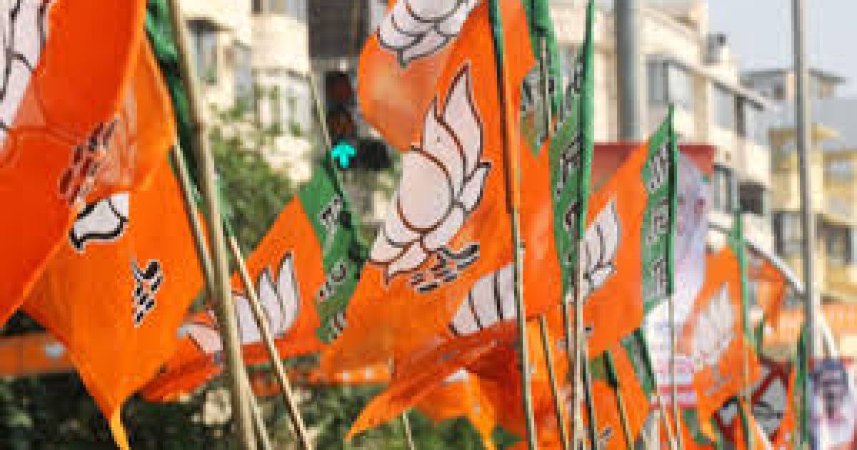 Bjp flag