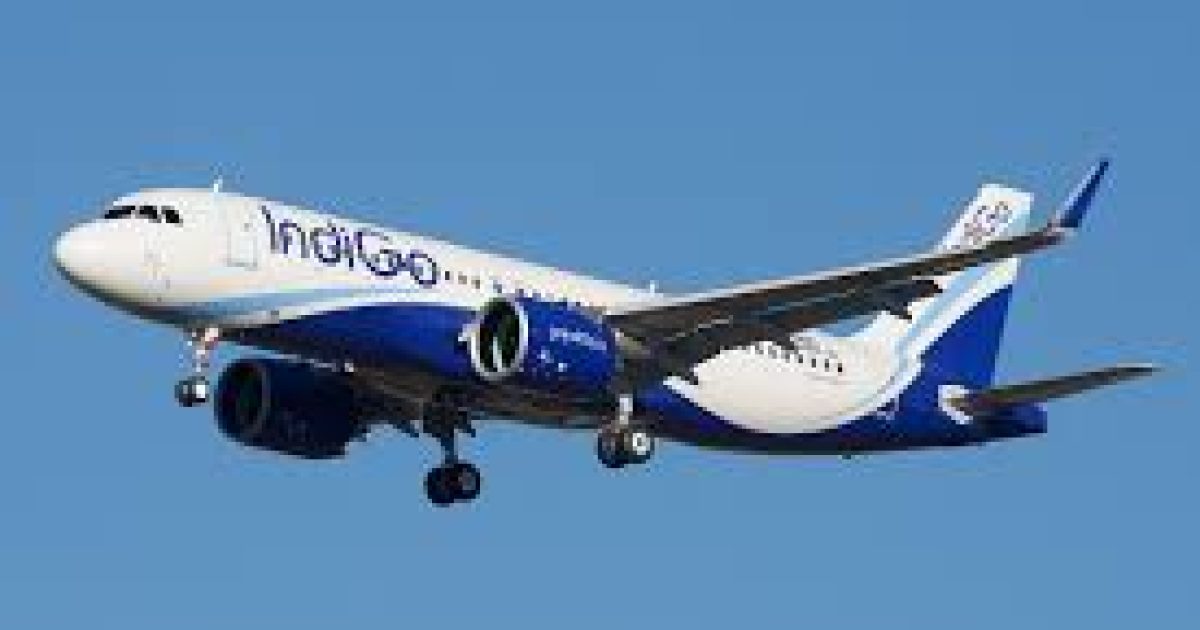 Indigo