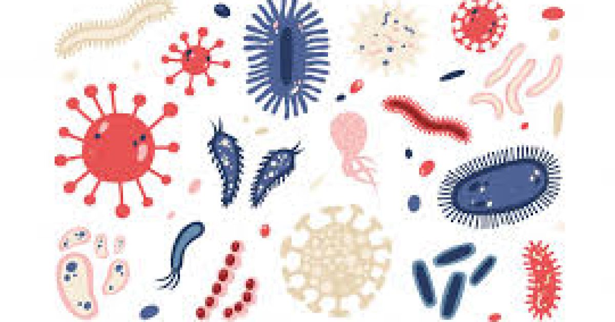 Microbe