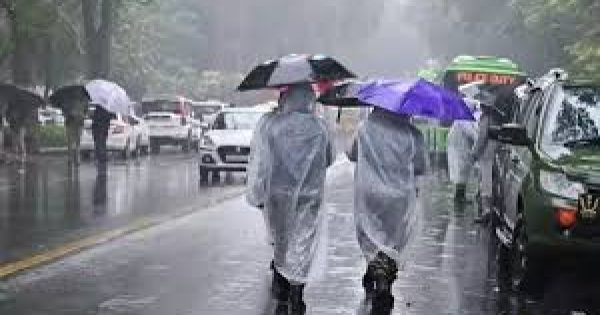 Rainfall2